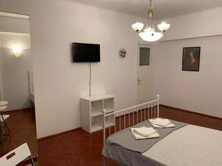Проживание в семье La Casa de Danel Бухарест Двухместный номер с 1 кроватью-7